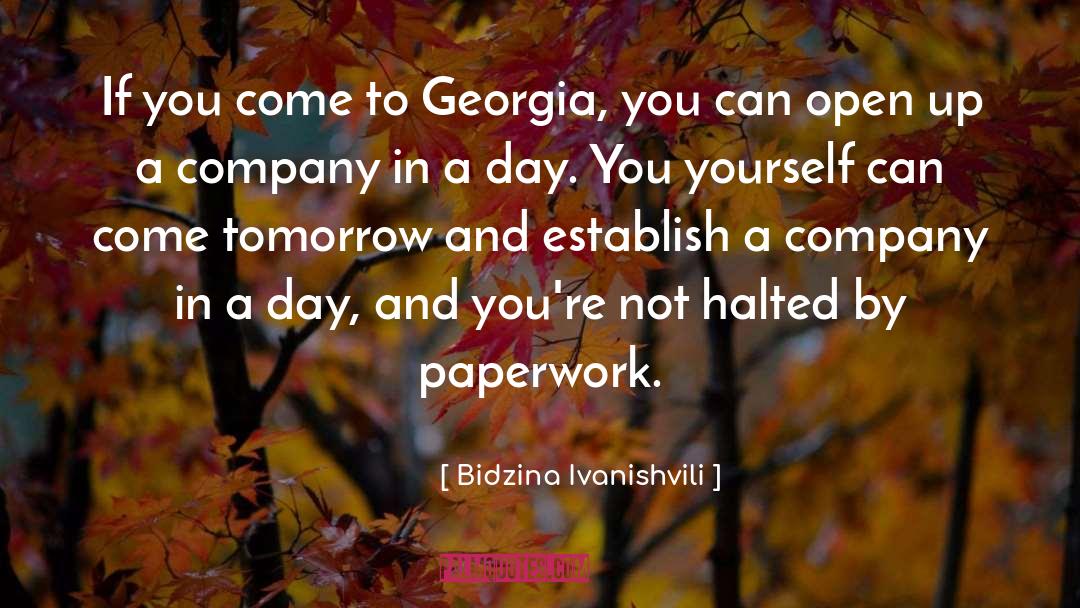 Bidzina Ivanishvili Quotes: If you come to Georgia,