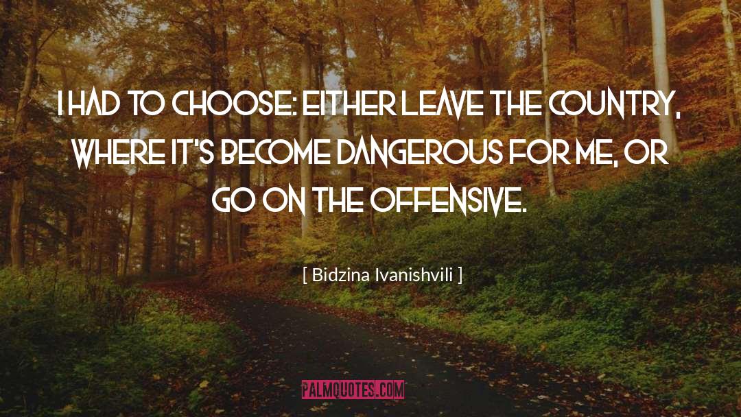 Bidzina Ivanishvili Quotes: I had to choose: Either