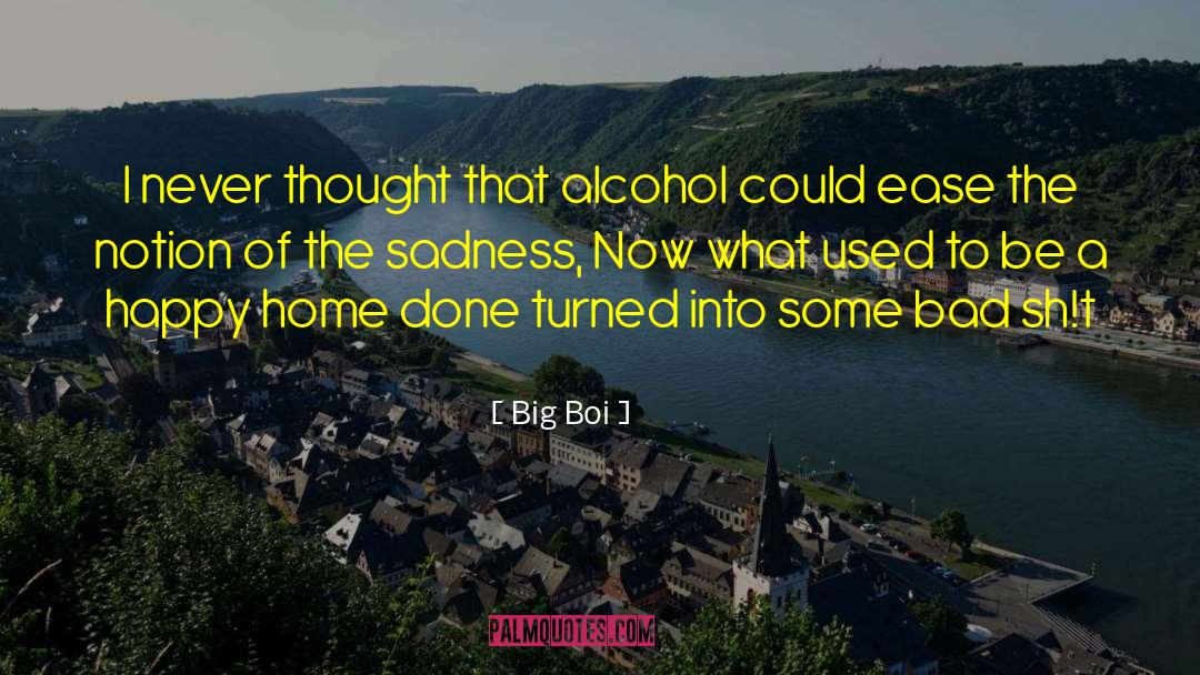 Big Boi Quotes: I never thought that alcohol
