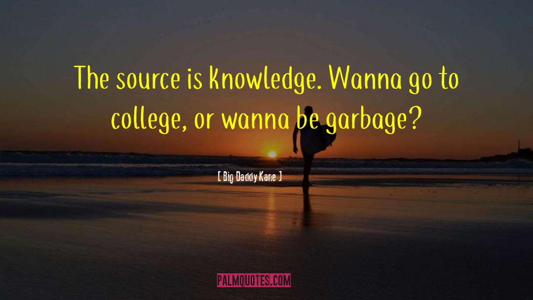 Big Daddy Kane Quotes: The source is knowledge. Wanna