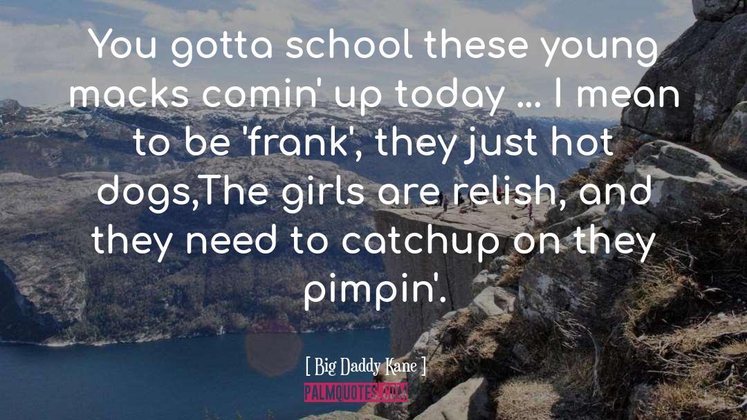 Big Daddy Kane Quotes: You gotta school these young
