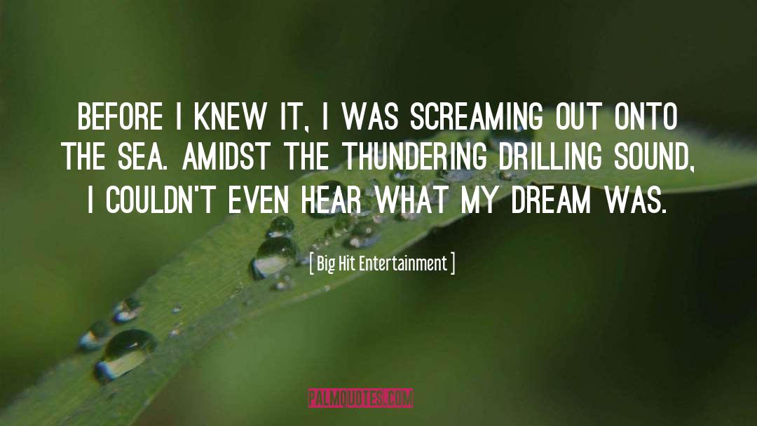 Big Hit Entertainment Quotes: Before I knew it, I
