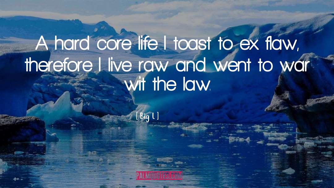 Big L Quotes: A hard core life I
