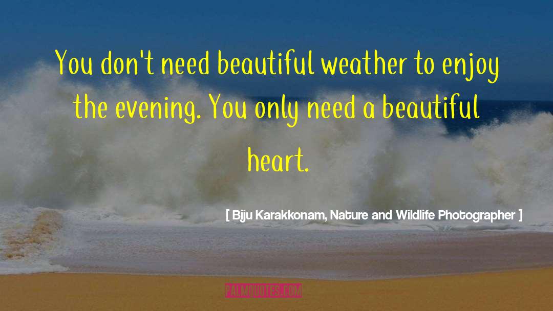Biju Karakkonam, Nature And Wildlife Photographer Quotes: You don't need beautiful weather