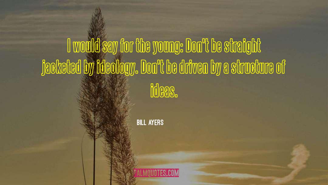 Bill Ayers Quotes: I would say for the