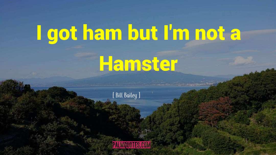 Bill Bailey Quotes: I got ham but I'm