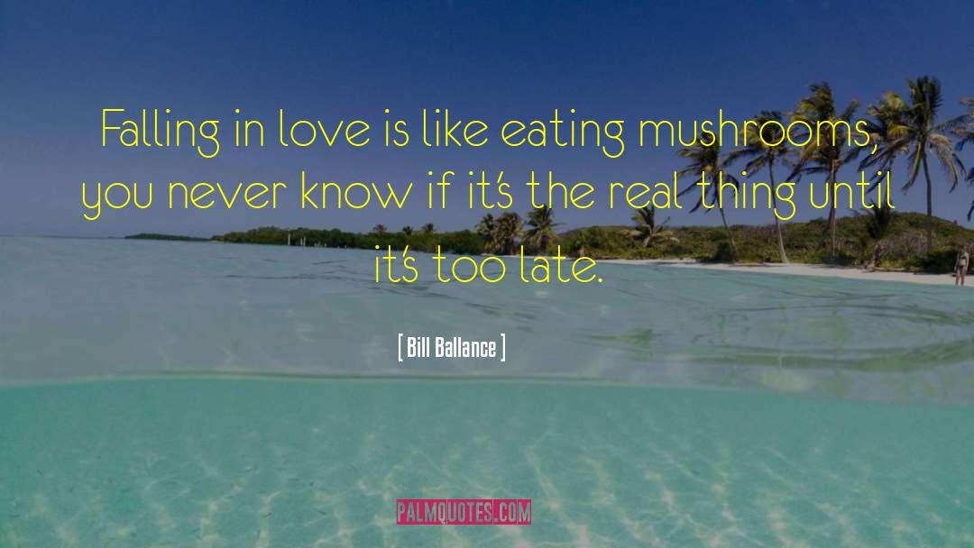 Bill Ballance Quotes: Falling in love is like