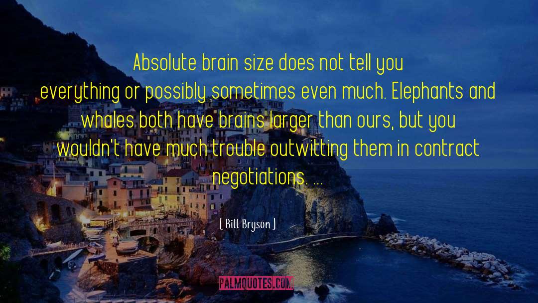 Bill Bryson Quotes: Absolute brain size does not