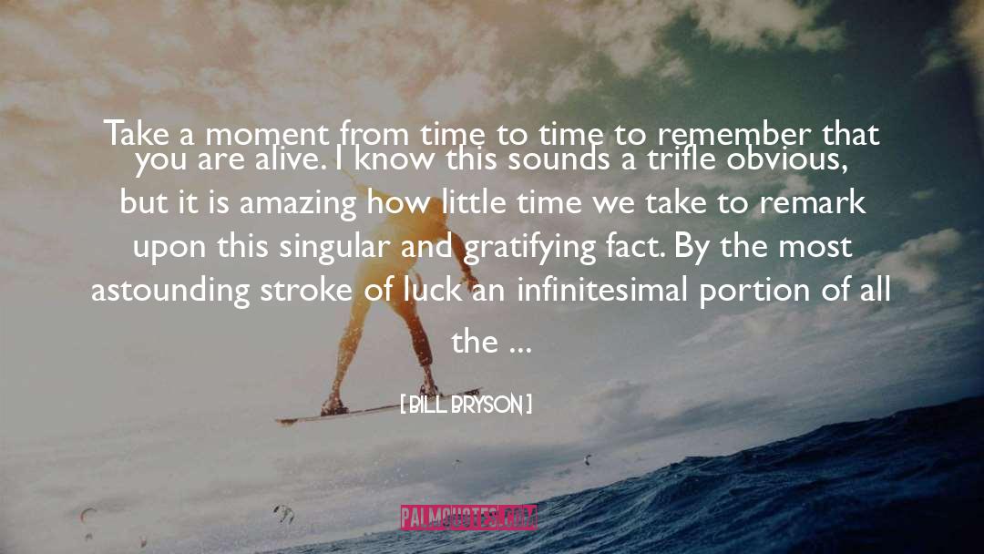 Bill Bryson Quotes: Take a moment from time