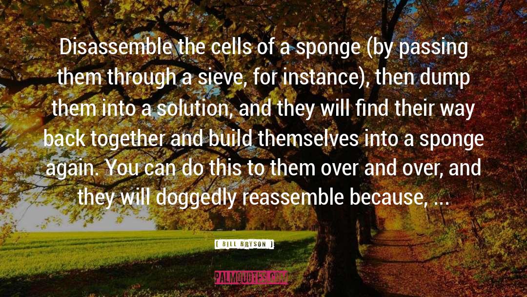 Bill Bryson Quotes: Disassemble the cells of a