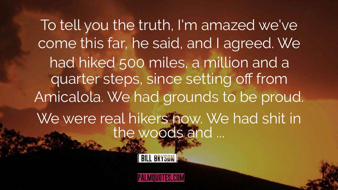 Bill Bryson Quotes: To tell you the truth,