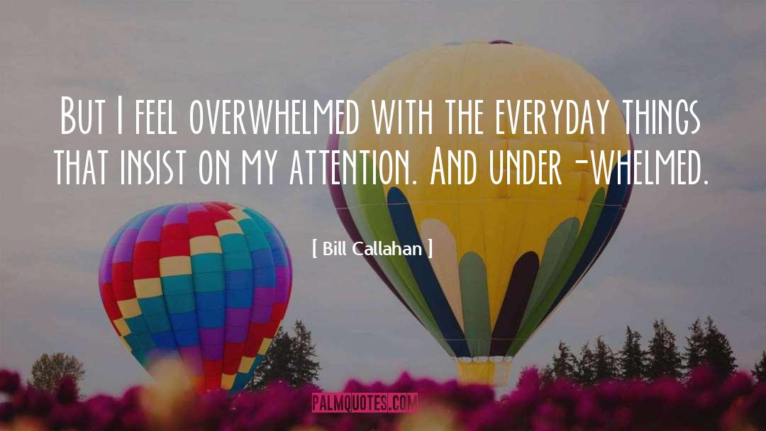 Bill Callahan Quotes: But I feel overwhelmed with