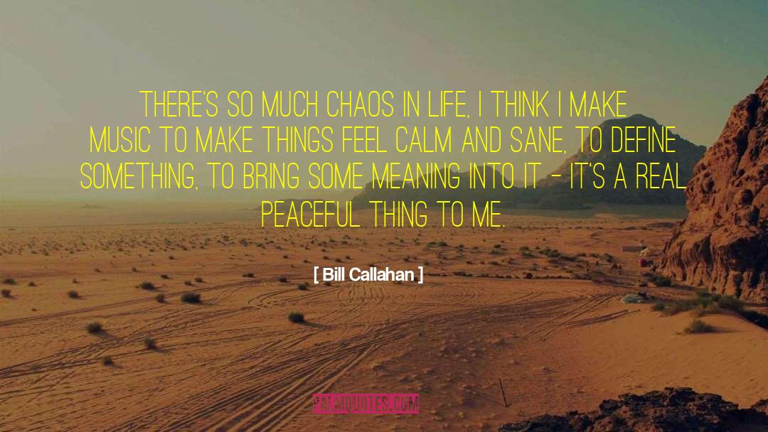 Bill Callahan Quotes: There's so much chaos in