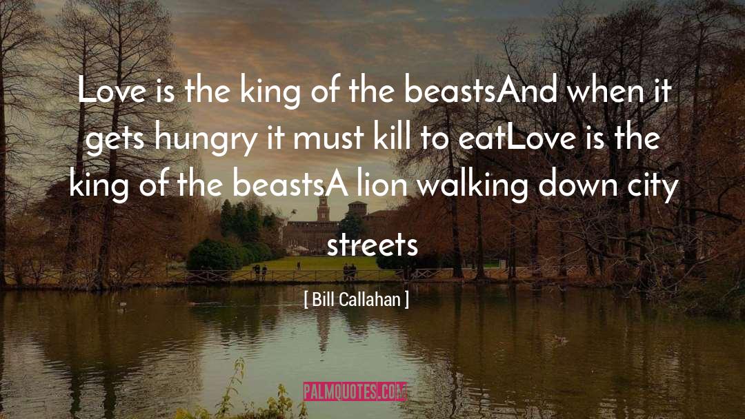 Bill Callahan Quotes: Love is the king of