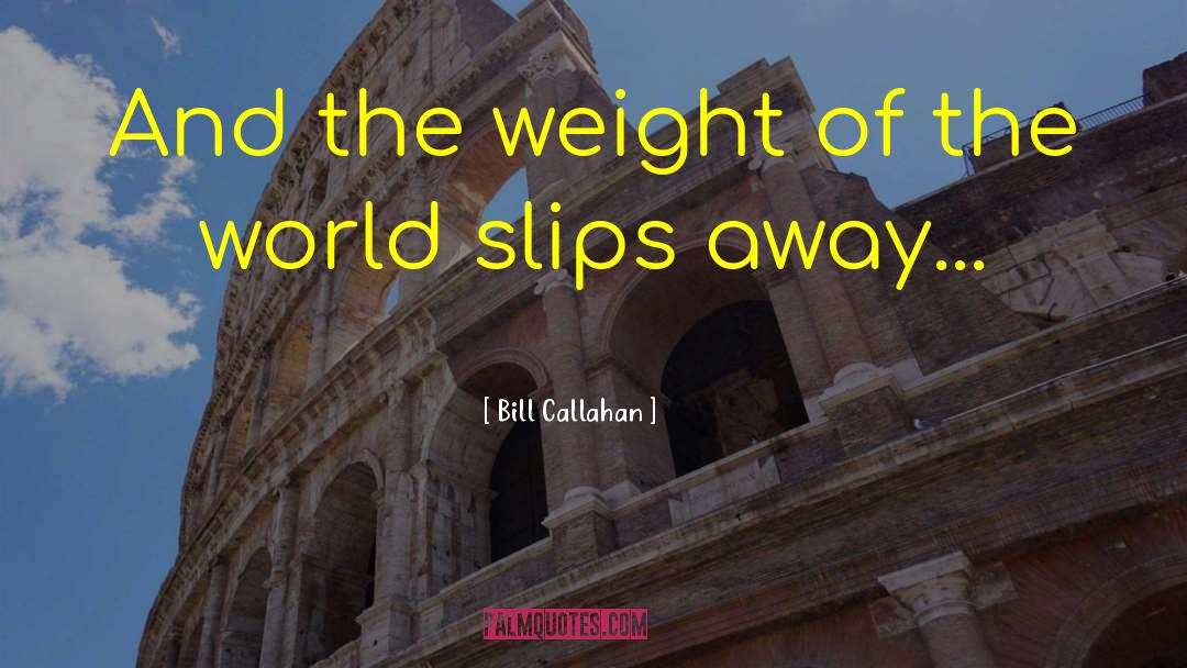 Bill Callahan Quotes: And the weight of the