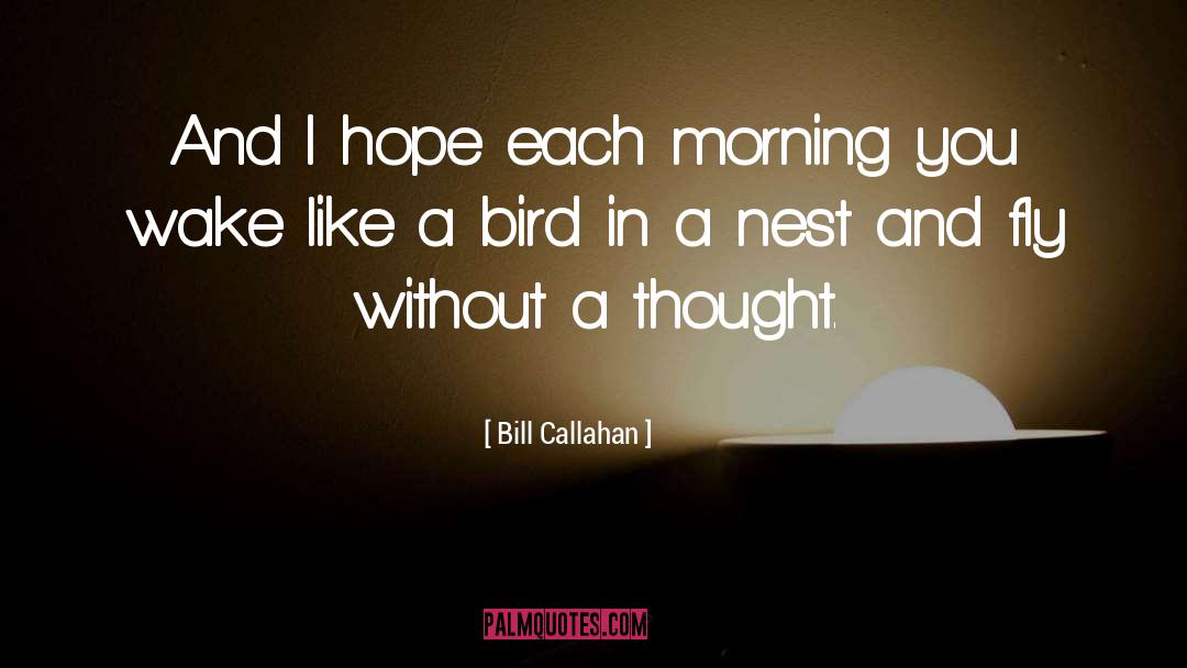 Bill Callahan Quotes: And I hope each morning