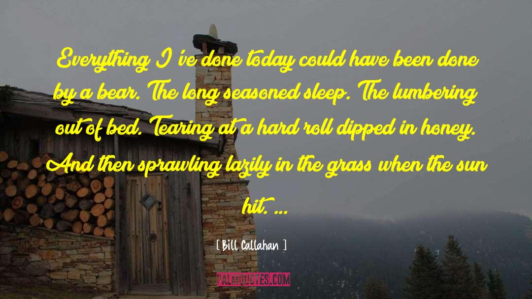 Bill Callahan Quotes: Everything I've done today could