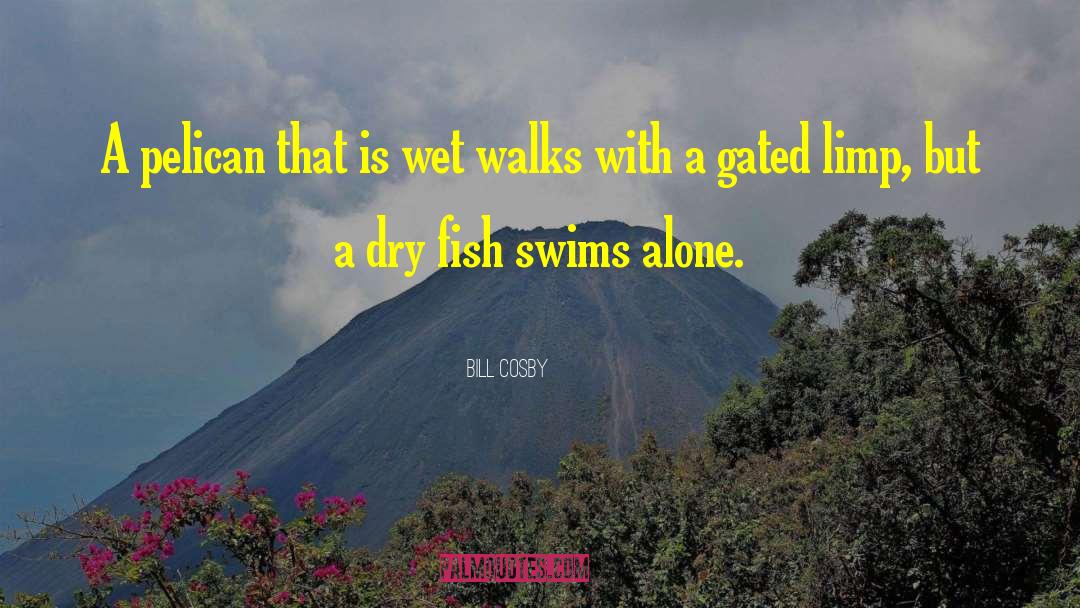 Bill Cosby Quotes: A pelican that is wet