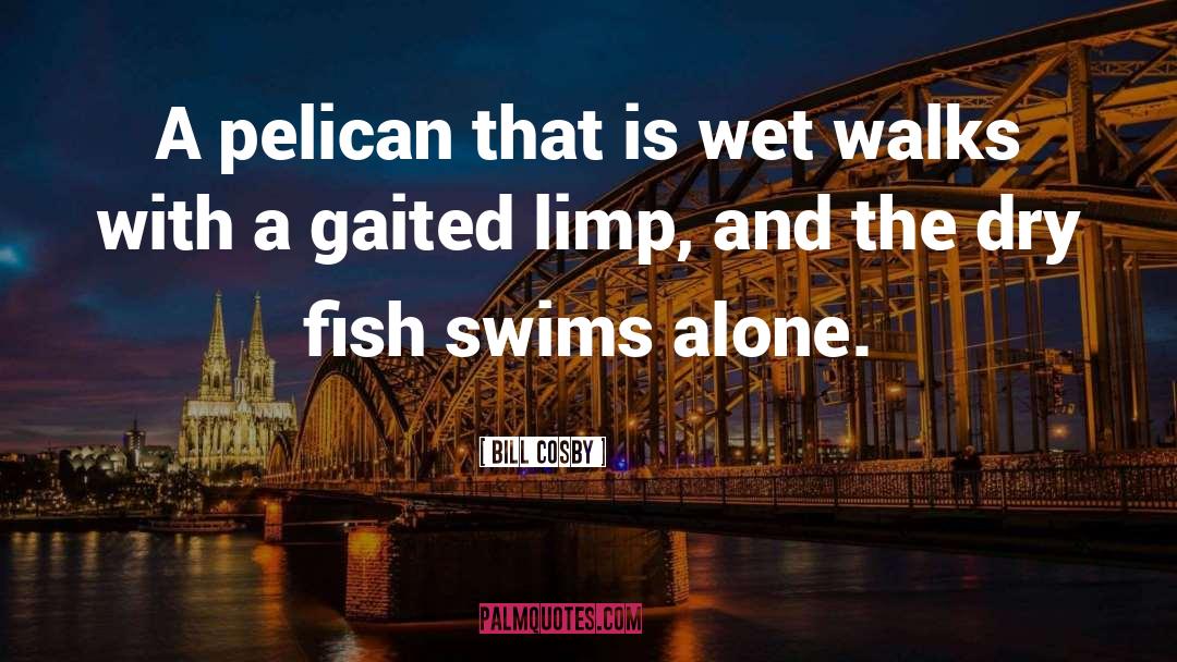 Bill Cosby Quotes: A pelican that is wet