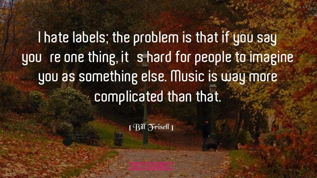 Bill Frisell Quotes: I hate labels; the problem