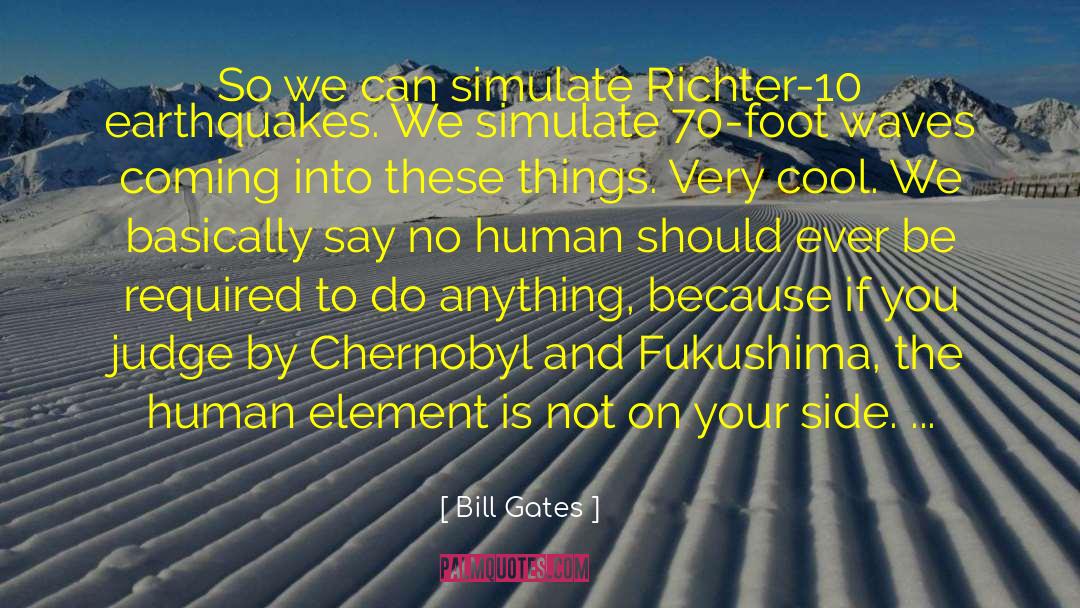 Bill Gates Quotes: So we can simulate Richter-10