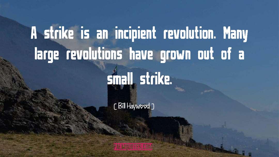 Bill Haywood Quotes: A strike is an incipient