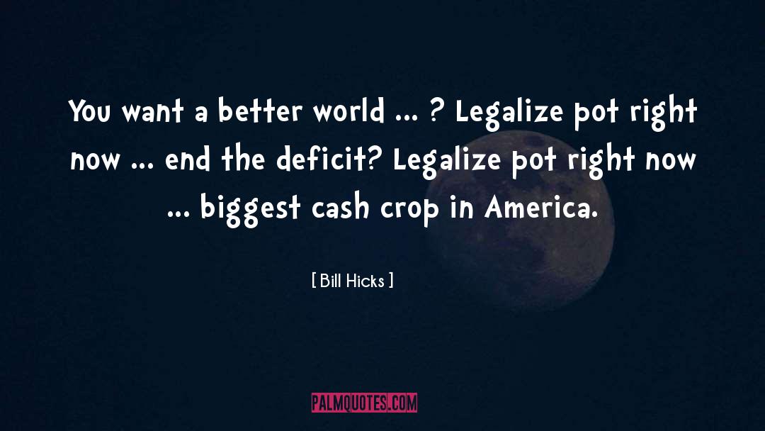 Bill Hicks Quotes: You want a better world