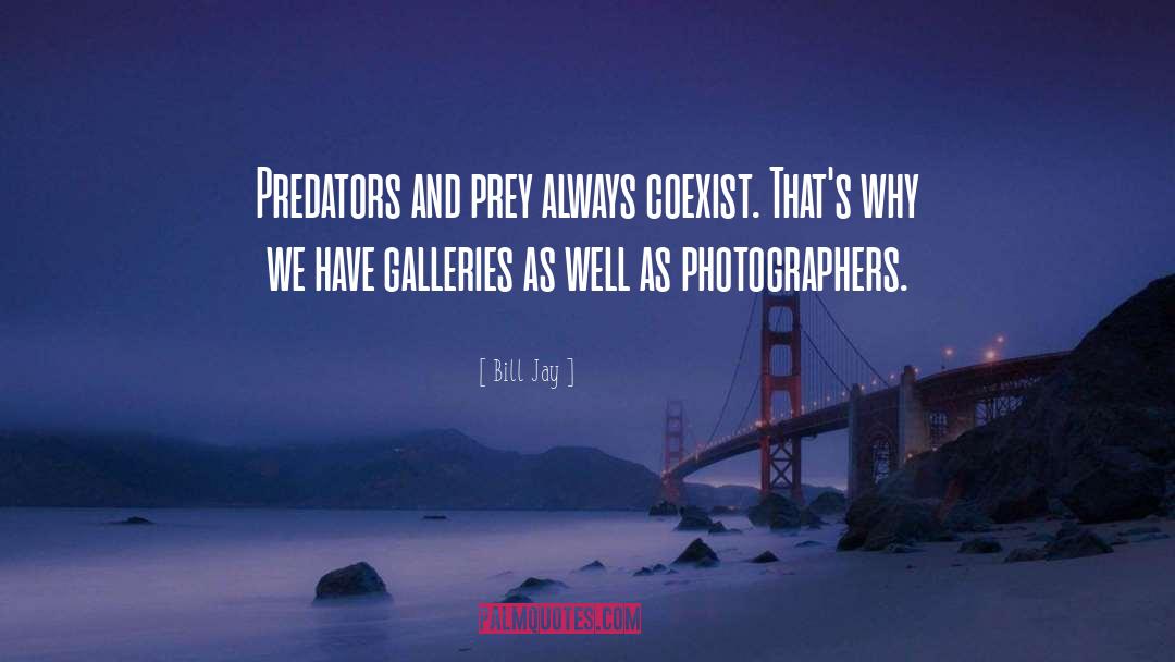 Bill Jay Quotes: Predators and prey always coexist.