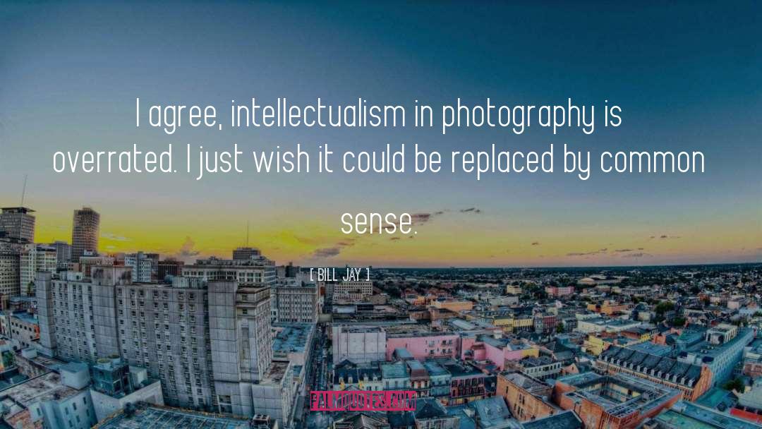 Bill Jay Quotes: I agree, intellectualism in photography