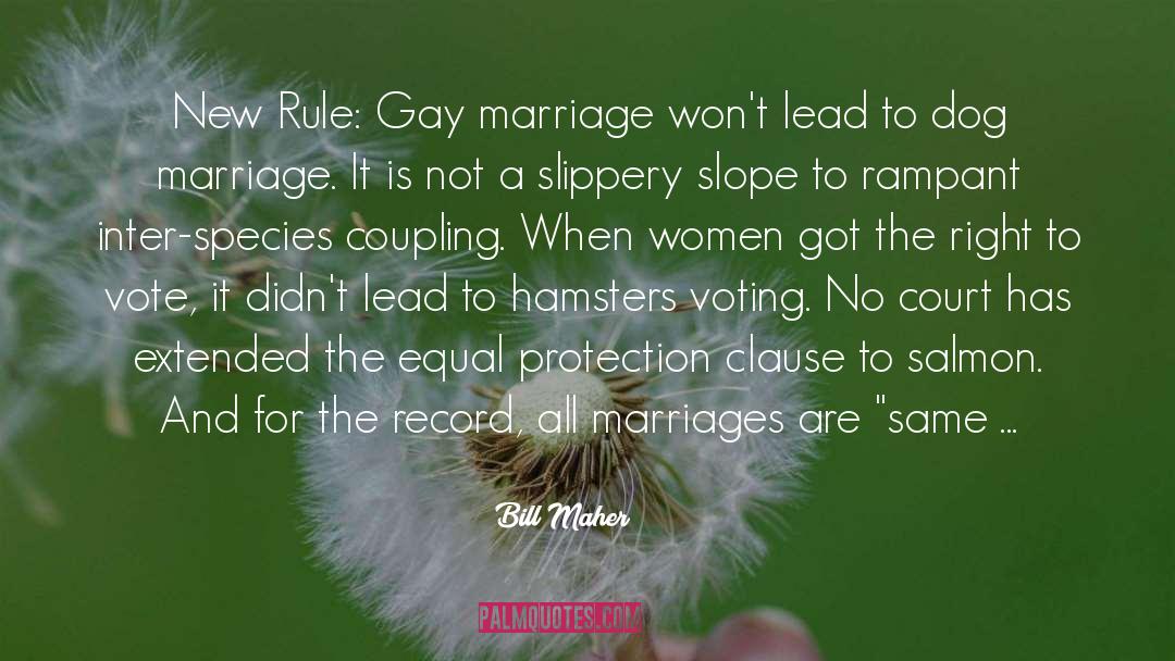 Bill Maher Quotes: New Rule: Gay marriage won't