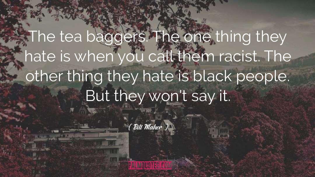 Bill Maher Quotes: The tea baggers. The one