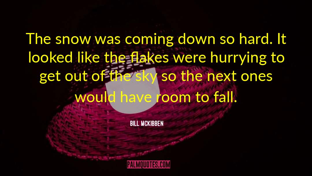 Bill McKibben Quotes: The snow was coming down