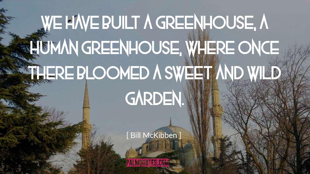 Bill McKibben Quotes: We have built a greenhouse,