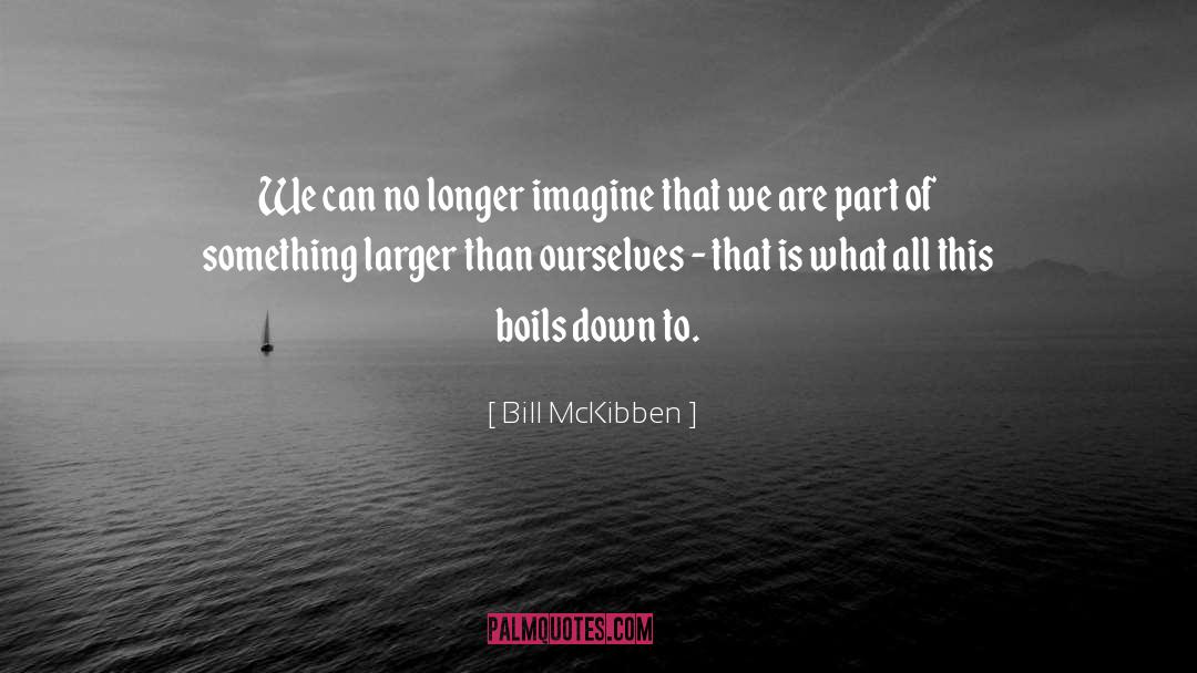 Bill McKibben Quotes: We can no longer imagine