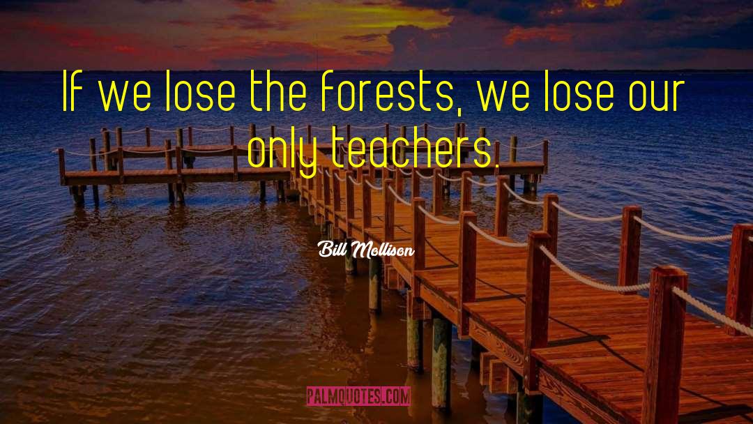 Bill Mollison Quotes: If we lose the forests,