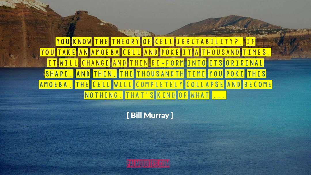 Bill Murray Quotes: You know the theory of