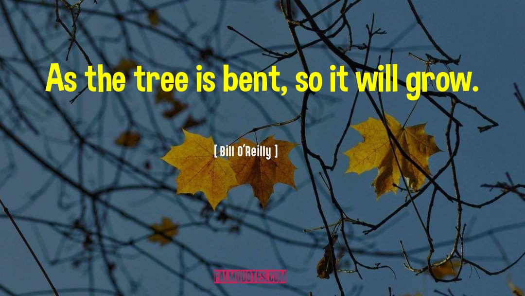 Bill O'Reilly Quotes: As the tree is bent,