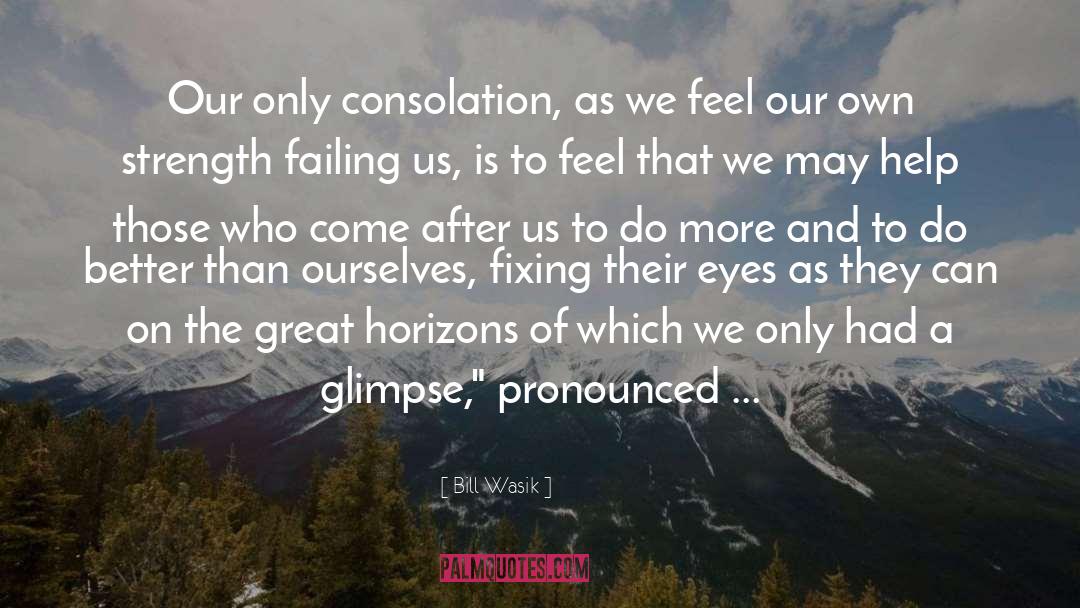 Bill Wasik Quotes: Our only consolation, as we