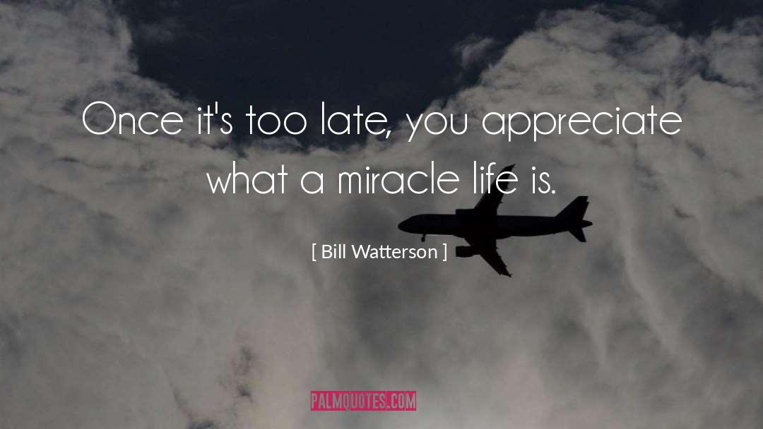 Bill Watterson Quotes: Once it's too late, you