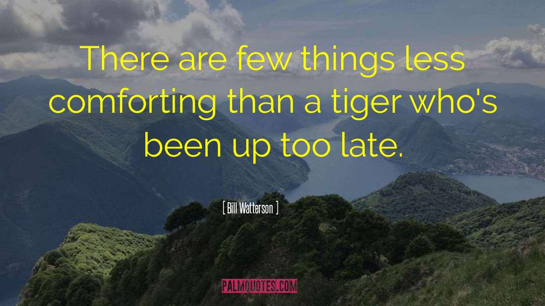 Bill Watterson Quotes: There are few things less