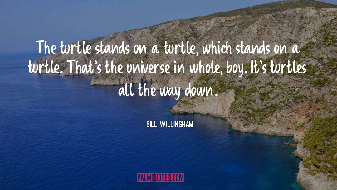 Bill Willingham Quotes: The turtle stands on a