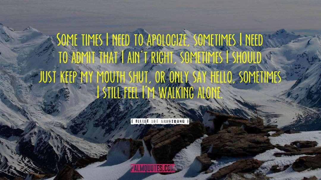 Billie Joe Armstrong Quotes: Some times I need to