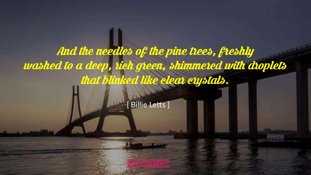 Billie Letts Quotes: And the needles of the