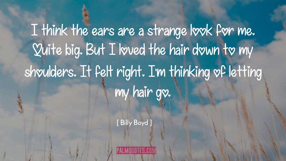 Billy Boyd Quotes: I think the ears are