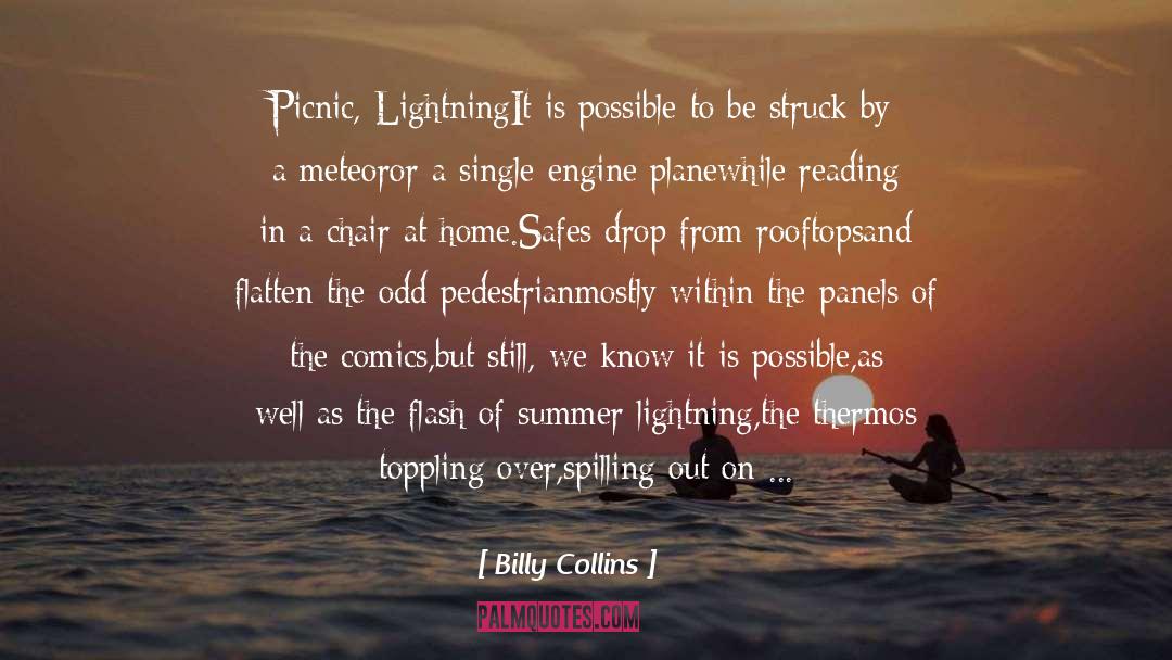 Billy Collins Quotes: Picnic, Lightning<br /><br />It is