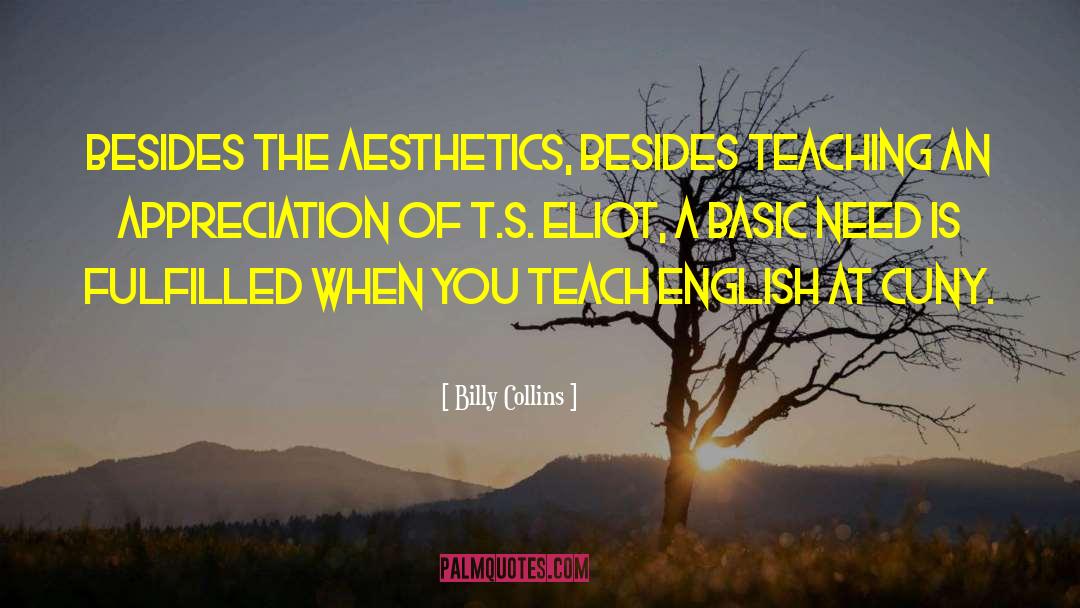 Billy Collins Quotes: Besides the aesthetics, besides teaching