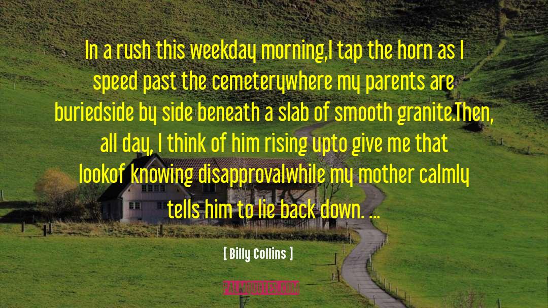 Billy Collins Quotes: In a rush this weekday