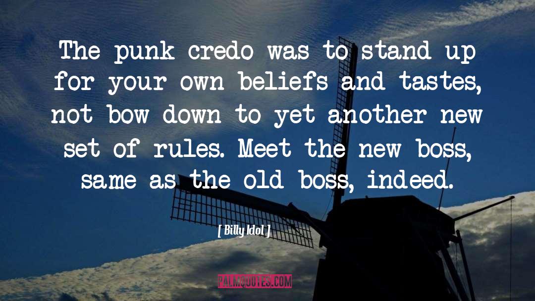 Billy Idol Quotes: The punk credo was to