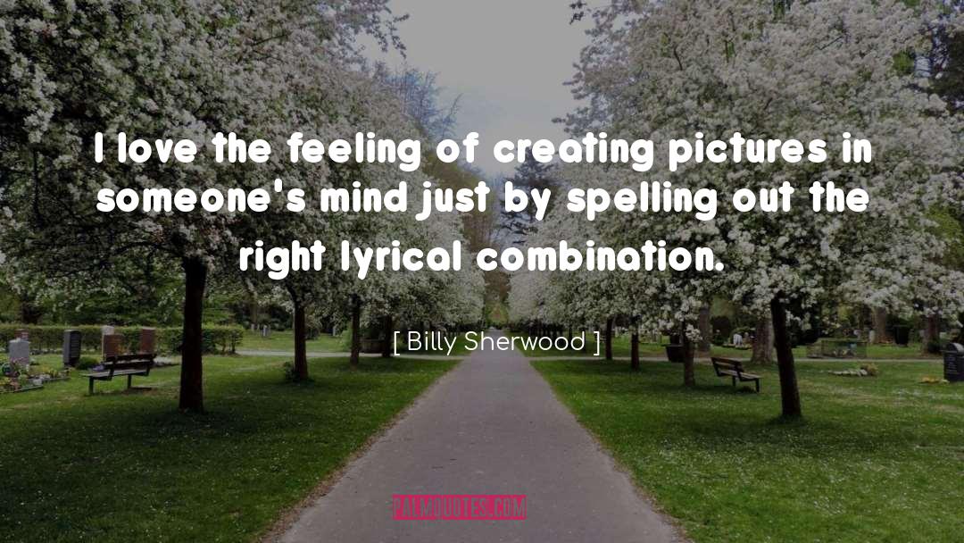 Billy Sherwood Quotes: I love the feeling of