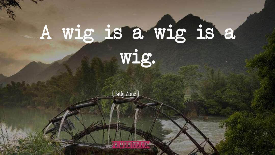 Billy Zane Quotes: A wig is a wig